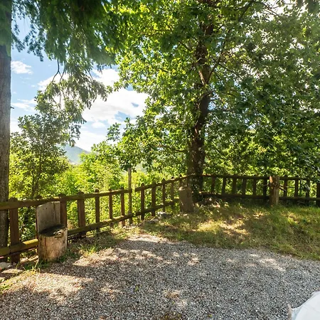 Il Nido Del Bosco *